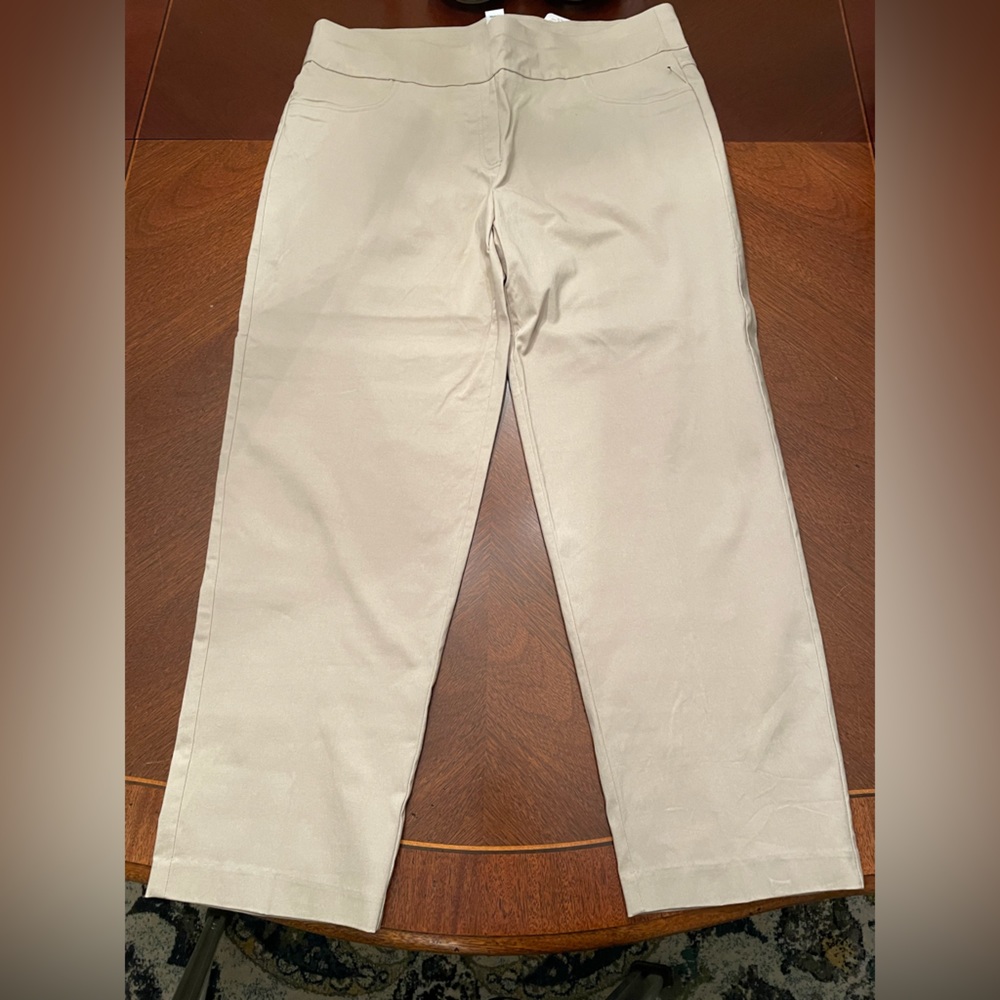NWT Ruby Rd. Woman Khaki Pants Size 22W